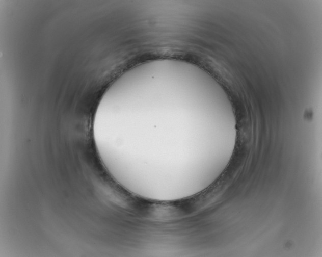 X0000091340605200709071219