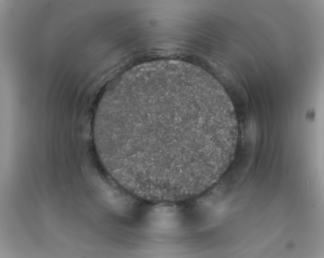 X0000091340606200709071219