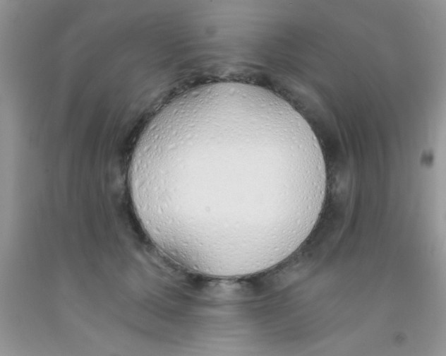 X0000091340607200709071219