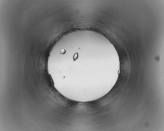 X0000091340608200709071219