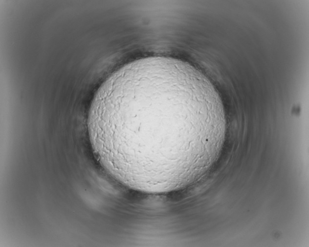 X0000091340609200709071219