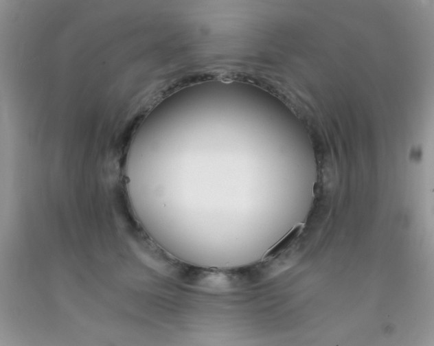 X0000091340611200709071219