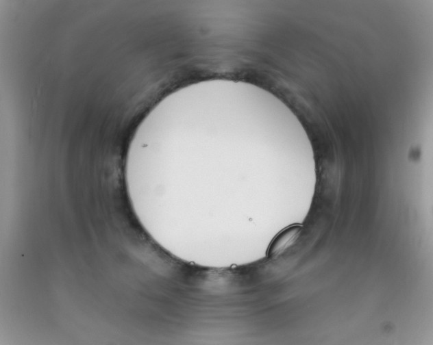 X0000091340612200709071219