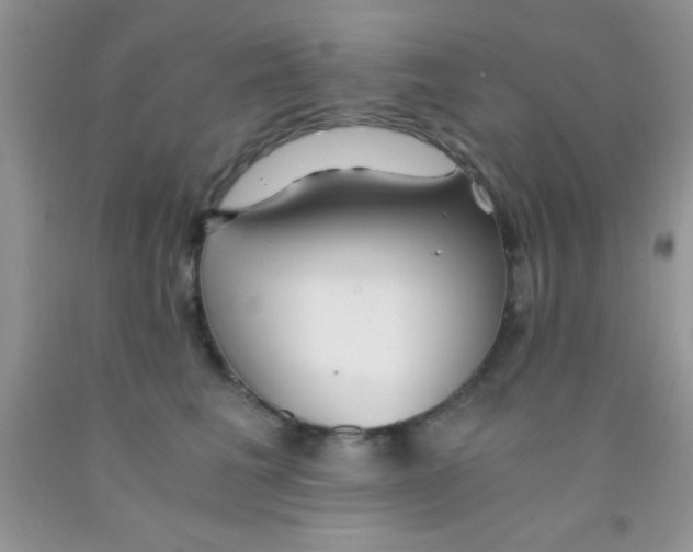 X0000091340613200709071219