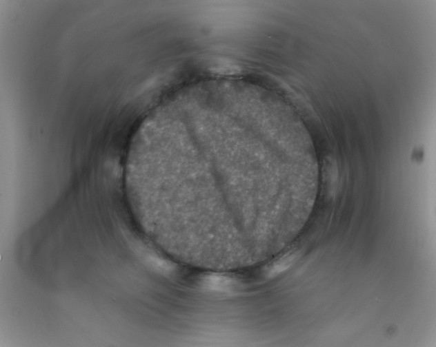 X0000091340614200709071219