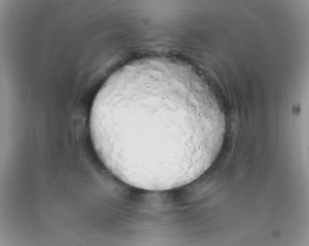 X0000091340615200709071219