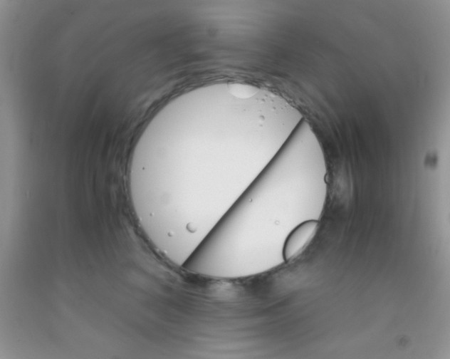 X0000091340616200709071219