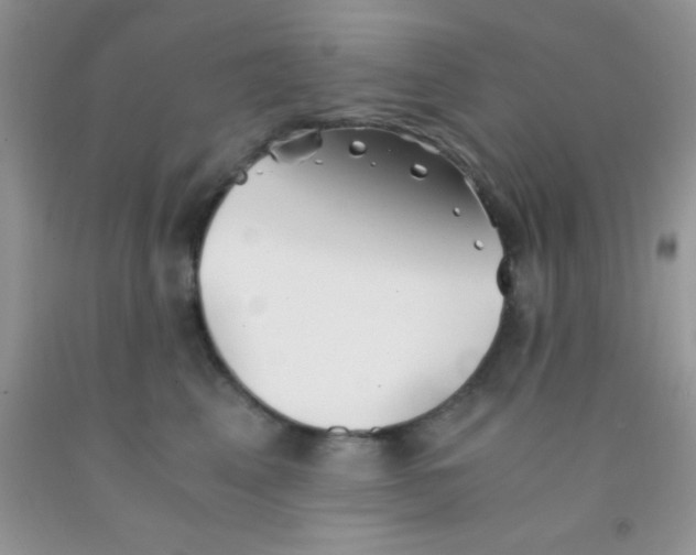 X0000091340617200709071219