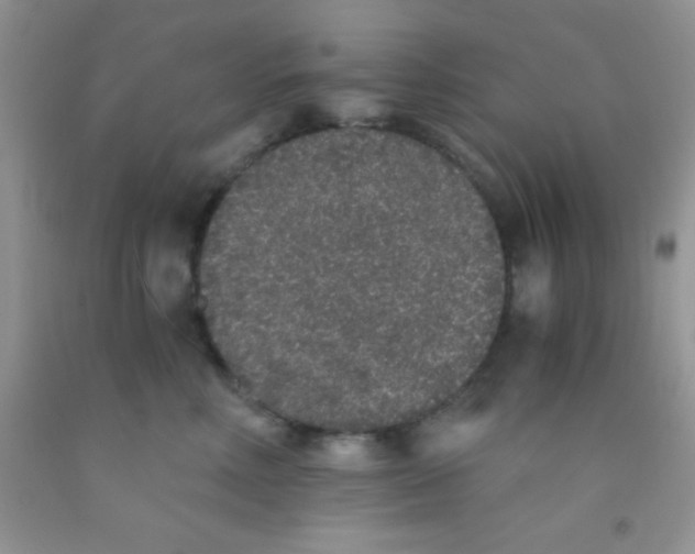 X0000091340618200709071219