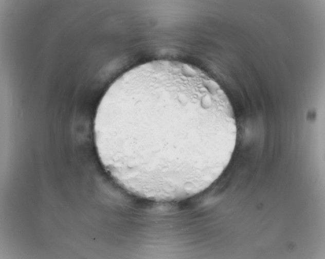 X0000091340619200709071219