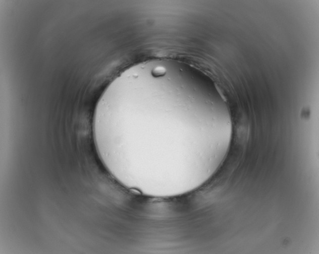 X0000091340620200709071219