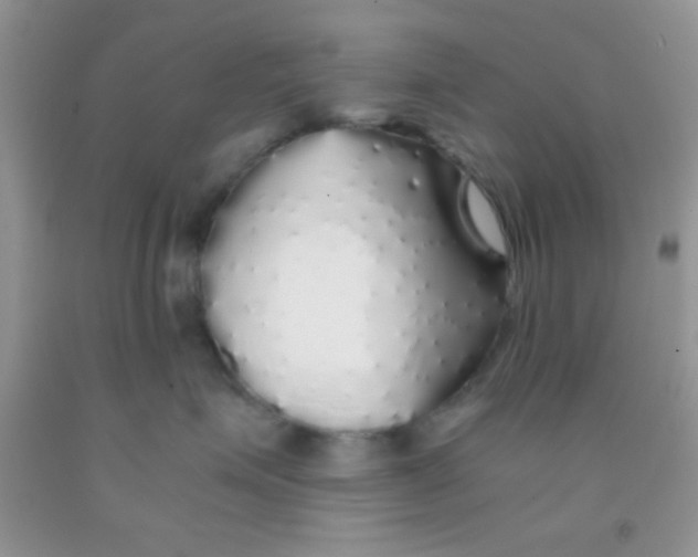 X0000091340623200709071219