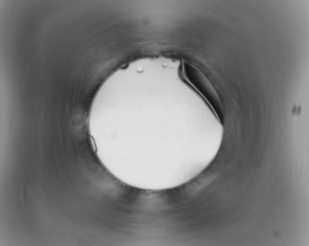 X0000091340624200709071219