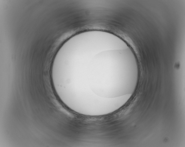 X0000091340625200709071219