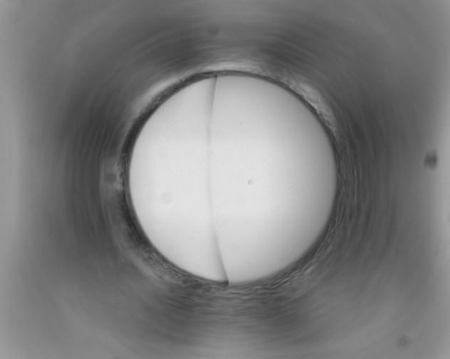 X0000091340628200709071219