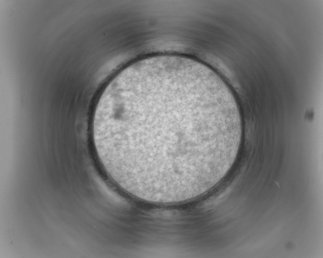 X0000091340629200709071219