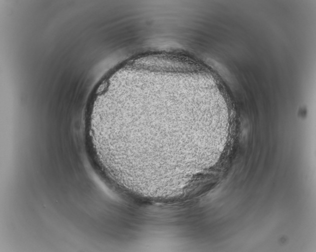 X0000091340630200709071219