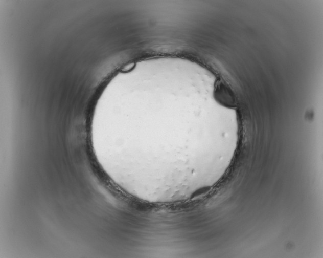 X0000091340634200709071219