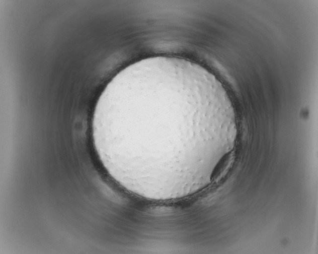 X0000091340637200709071219