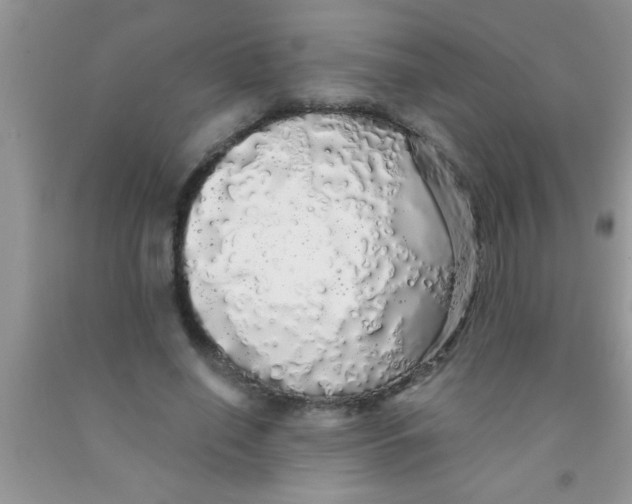 X0000091340638200709071219