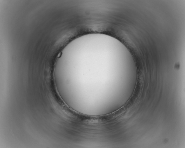 X0000091340639200709071219