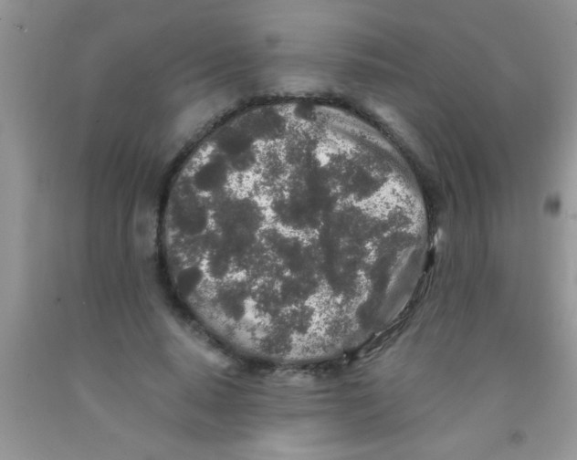 X0000091340640200709071219