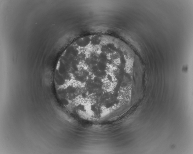 X0000091340641200709071219