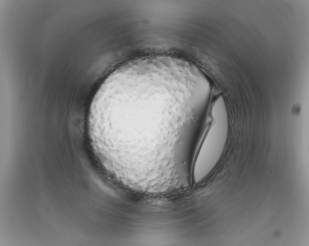 X0000091340642200709071219