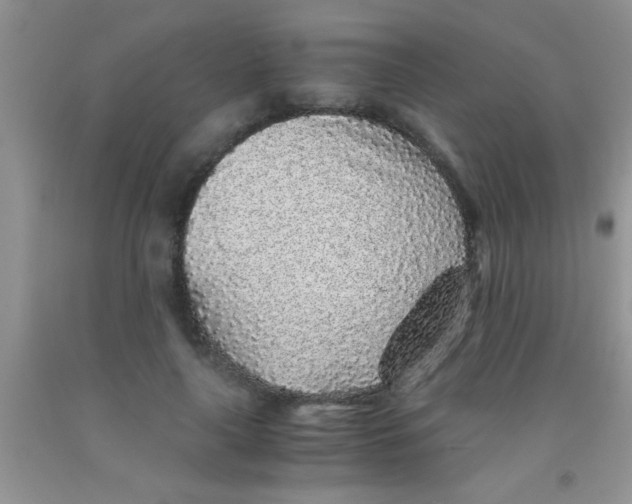 X0000091340643200709071219