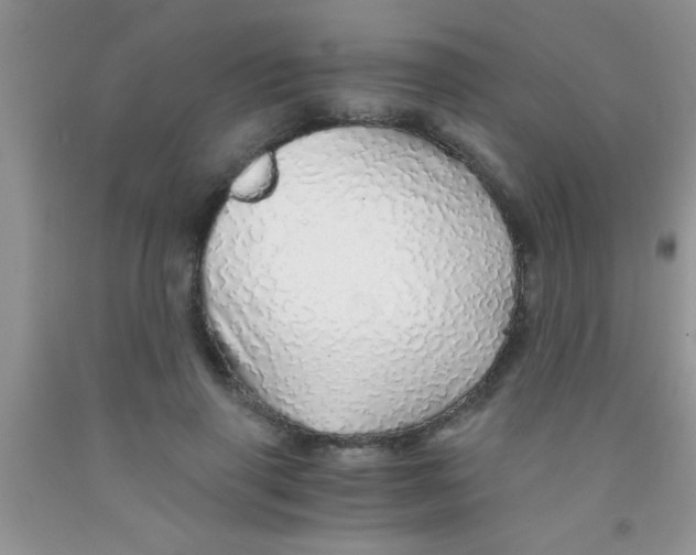 X0000091340645200709071219