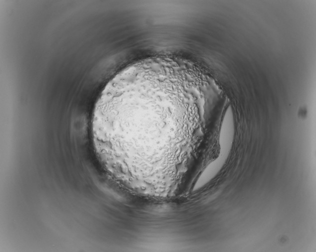 X0000091340646200709071219