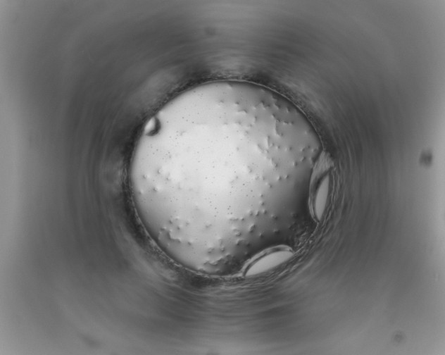 X0000091340647200709071219