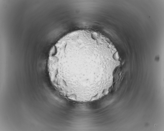 X0000091340652200709071219