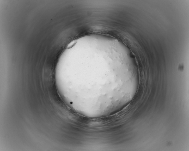 X0000091340653200709071219