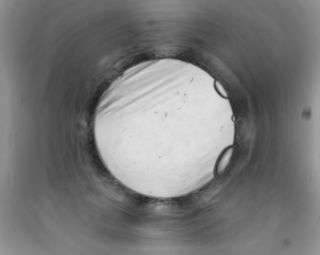 X0000091340655200709071219