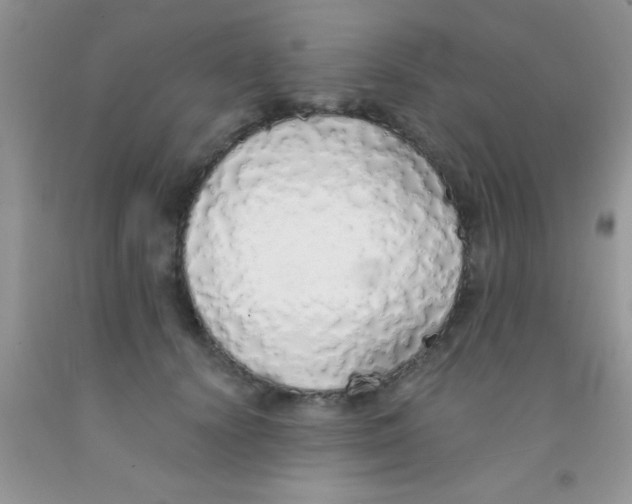 X0000091340656200709071219