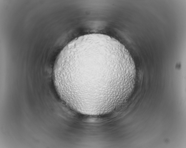 X0000091340657200709071219