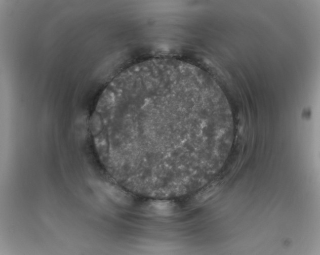 X0000091340659200709071219