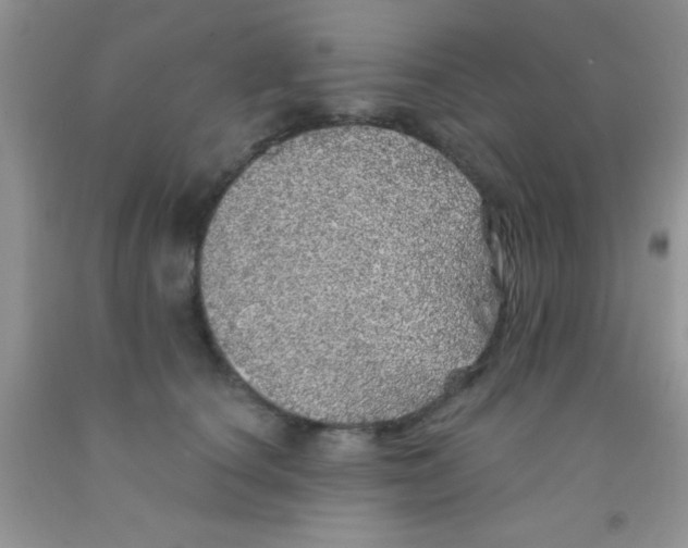 X0000091340660200709071219