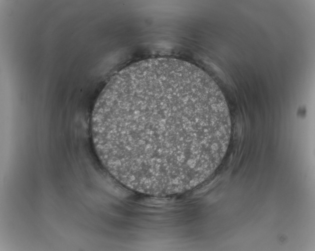 X0000091340661200709071219