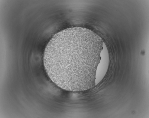 X0000091340662200709071219