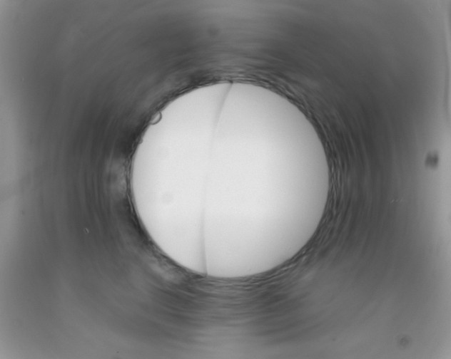 X0000091340664200709071219