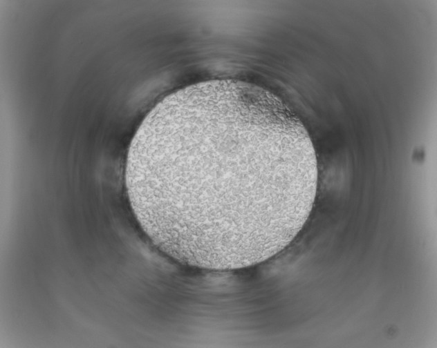 X0000091340666200709071219