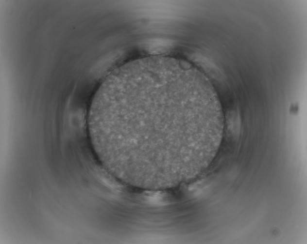 X0000091340667200709071219