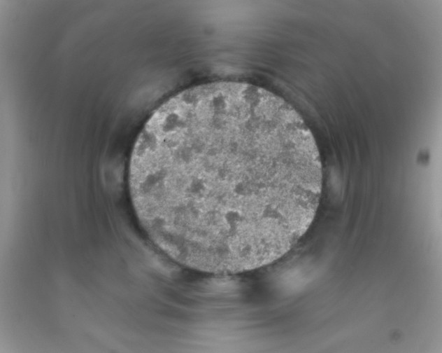 X0000091340668200709071219