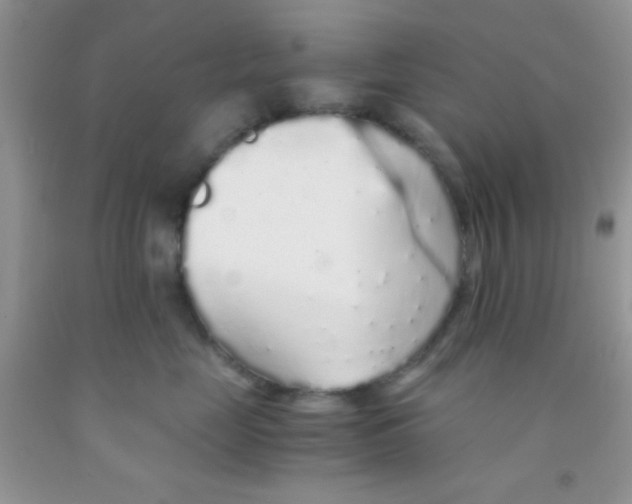 X0000091340669200709071219