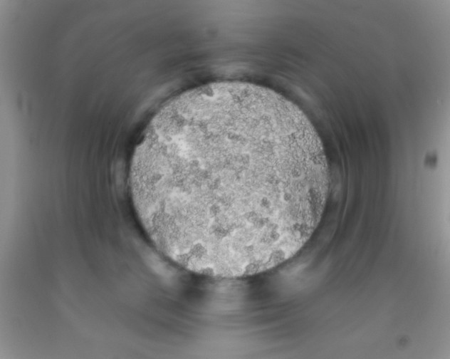 X0000091340670200709071219