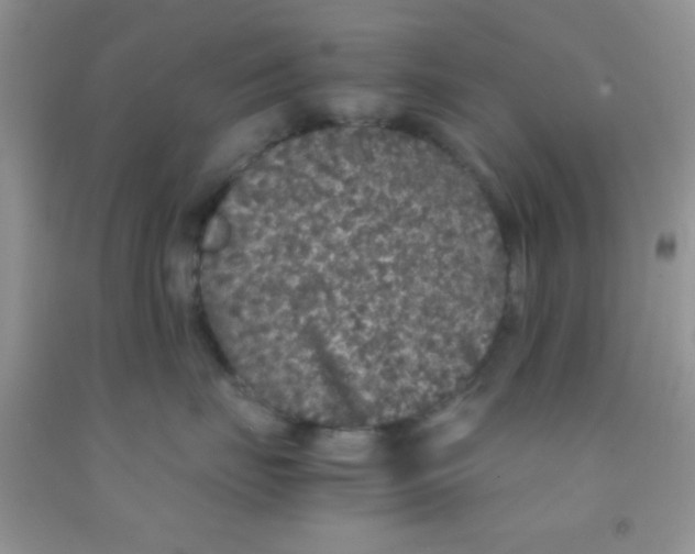 X0000091340671200709071219