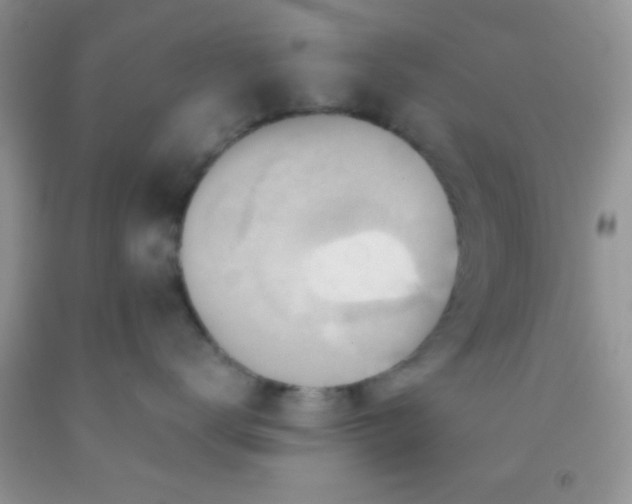 X0000091340672200709071219