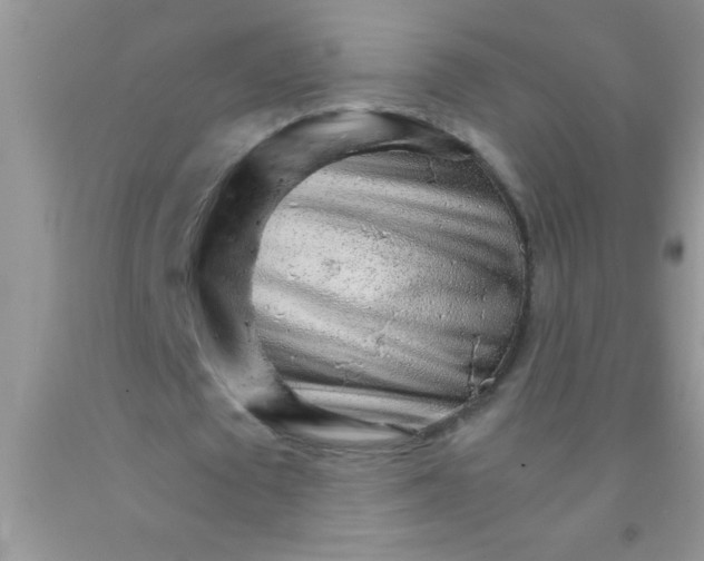 X0000091340673200709071219